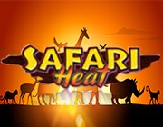 Игровой автомат Сафари: играть на рубли в режиме онлайн